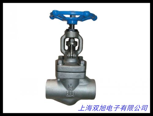 廠價(jià)電動(dòng)蝶閥304不銹鋼電動(dòng)/氣動(dòng)衛(wèi)生級(jí)蝶閥快裝式D981X 16P