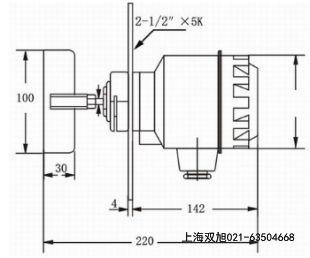 ZXK-3-1000料位開關
