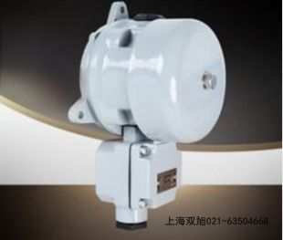 BH-8聲光報(bào)警器SBL-R6G12T