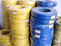 BLV �Xо������ϩ�^����|/�r��/���a(ch��n)�S��/BLV 