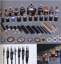 BXR �~о��Ƥ�^��ܛ늾�/�r(ji��)��/���a(ch��n)�S��/BXR